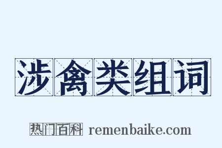 涉禽类组词是什么意思的图片